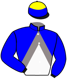 casaque portée par Wolff L. jockey du cheval de course ANDANOTHERGLORY, information pmu ZETURF