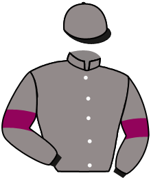 casaque portée par Bazire P. jockey du cheval de course ASSEZ RAPIDE, information pmu ZETURF casaque portée par Bazire P. jockey du cheval de course ASSEZ RAPIDE, information pmu ZETURF