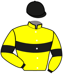 casaque portée par Ginard Jurgens Mme V.A. jockey du cheval de course FAIRPLAY FOREVER, information pmu ZETURF