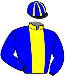 casaque portée par Lemetayer S. jockey du cheval de course KORO DE LA COUR, information pmu ZETURF