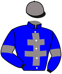 casaque portée par Olivier D. M. jockey du cheval de course JESS D'ANARDEL, information pmu ZETURF