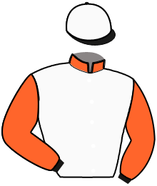 casaque portée par Monaco M. jockey du cheval de course LYNX DE BOMO, information pmu ZETURF casaque portée par Monaco M. jockey du cheval de course LYNX DE BOMO, information pmu ZETURF