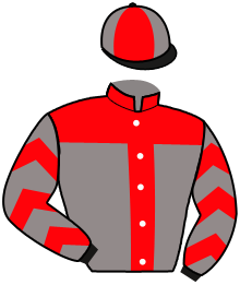 casaque portée par Ernault S. jockey du cheval de course LADY BLACK BIRD, information pmu ZETURF