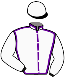 casaque portée par Journiac H. jockey du cheval de course TROPA, information pmu ZETURF casaque portée par Journiac H. jockey du cheval de course TROPA, information pmu ZETURF