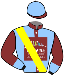 casaque portée par Trolley De Prevaux G. jockey du cheval de course ALBERTINELLI, information pmu ZETURF