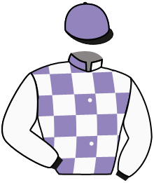casaque portée par Bernard A. jockey du cheval de course DALYAMIX, information pmu ZETURF