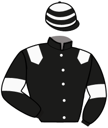 casaque portée par Seguin Q. jockey du cheval de course JEUX DE L'ETRE, information pmu ZETURF casaque portée par Seguin Q. jockey du cheval de course JEUX DE L'ETRE, information pmu ZETURF