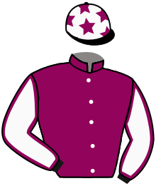 casaque portée par Plommee Léo. jockey du cheval de course PRINCESS KARA, information pmu ZETURF