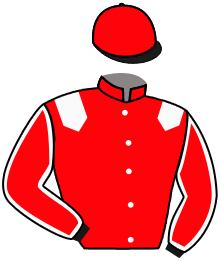 casaque portée par Guyon M. jockey du cheval de course A NOS SOUVENIRS, information pmu ZETURF