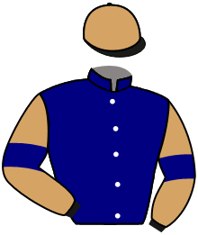 casaque portée par Meunier Gab. jockey du cheval de course KING CAROLUS, information pmu ZETURF casaque portée par Meunier Gab. jockey du cheval de course KING CAROLUS, information pmu ZETURF