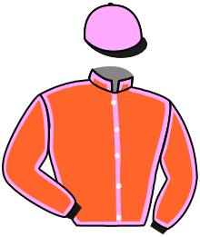 casaque portée par Le Clerc B. jockey du cheval de course OLE FILLES, information pmu ZETURF casaque portée par Le Clerc B. jockey du cheval de course OLE FILLES, information pmu ZETURF
