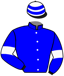 casaque portée par Saussaye V. jockey du cheval de course JADE DU CEDRE, information pmu ZETURF