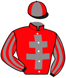 casaque portée par Rynwalt-boulard P. A. jockey du cheval de course ELEVEN SHAPTER, information pmu ZETURF