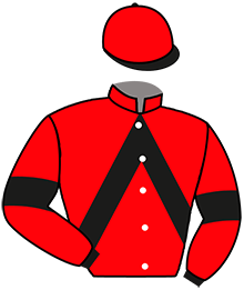 casaque portée par Andre A. jockey du cheval de course JINA FAST, information pmu ZETURF