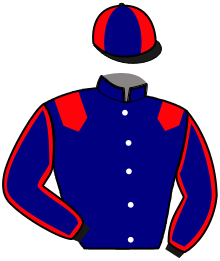casaque portée par Ernault S. jockey du cheval de course JALNA DES HAYES, information pmu ZETURF
