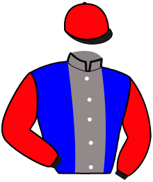 casaque portée par Verva Pie. Y. jockey du cheval de course LEGENDE DE NILREM, information pmu ZETURF