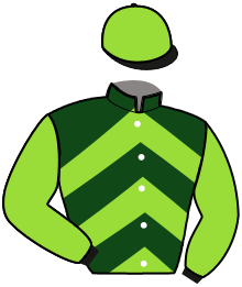 casaque portée par Garcon M. jockey du cheval de course LYLOU DES THUYAS, information pmu ZETURF
