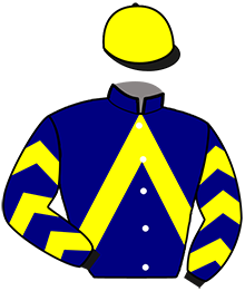 casaque portée par Cinier D. jockey du cheval de course JALON DU GOUTIER, information pmu ZETURF casaque portée par Cinier D. jockey du cheval de course JALON DU GOUTIER, information pmu ZETURF