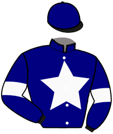 casaque portée par Raffin E. jockey du cheval de course NEWTON LANDING, information pmu ZETURF