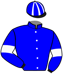 casaque portée par Desmigneux F. jockey du cheval de course MASTERCLASS D'EARL, information pmu ZETURF