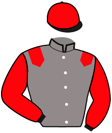 casaque portée par Lebourgeois Y. jockey du cheval de course MUNIA, information pmu ZETURF