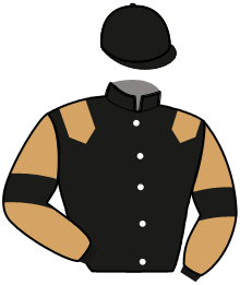 casaque portée par Ouvrie F. jockey du cheval de course RUSTICO, information pmu ZETURF