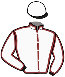 casaque portée par Ploquin Pau. Ph. jockey du cheval de course HONEY KING, information pmu ZETURF casaque portée par Ploquin Pau. Ph. jockey du cheval de course HONEY KING, information pmu ZETURF