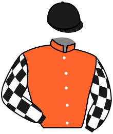 casaque portée par Cheyer Mme Per. jockey du cheval de course HOLY ROMANISED, information pmu ZETURF casaque portée par Cheyer Mme Per. jockey du cheval de course HOLY ROMANISED, information pmu ZETURF