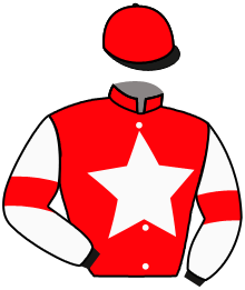 casaque portée par Cheyer Mme Per. jockey du cheval de course ULTIMATE FIGHT, information pmu ZETURF casaque portée par Cheyer Mme Per. jockey du cheval de course ULTIMATE FIGHT, information pmu ZETURF