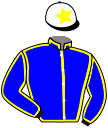 casaque portée par Cheyer P. jockey du cheval de course CALBIGNY, information pmu ZETURF casaque portée par Cheyer P. jockey du cheval de course CALBIGNY, information pmu ZETURF
