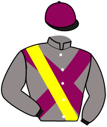 casaque portée par Velon Mlle M. jockey du cheval de course SILVER SCHNOK, information pmu ZETURF casaque portée par Velon Mlle M. jockey du cheval de course SILVER SCHNOK, information pmu ZETURF