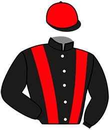 casaque portée par Dromigny T. jockey du cheval de course MONA LE LOUP, information pmu ZETURF
