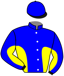 casaque portée par Desmigneux F. jockey du cheval de course LOOK DU PARCQ, information pmu ZETURF