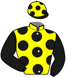 casaque portée par Koubiche Jér. jockey du cheval de course LENDAMA, information pmu ZETURF