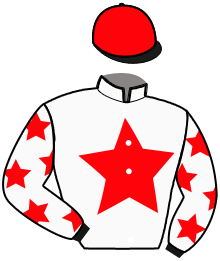 casaque portée par Raffestin J. jockey du cheval de course LYALYA, information pmu ZETURF