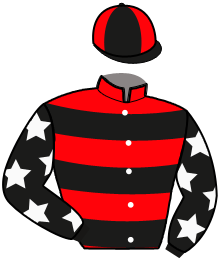 casaque portée par Garandeau A. jockey du cheval de course LITTLEBOY D'HOLLOW, information pmu ZETURF