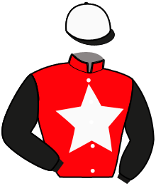casaque portée par Van Den Putte Jr J. jockey du cheval de course LOUIMOKO, information pmu ZETURF