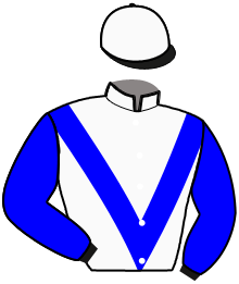 casaque portée par Vanmeerbeck J. jockey du cheval de course LION KING, information pmu ZETURF