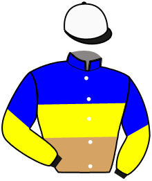 casaque portée par Desmigneux F. jockey du cheval de course LUCKY DE LINE, information pmu ZETURF