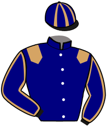 casaque portée par Roig-balaguer R. jockey du cheval de course LASKAR, information pmu ZETURF