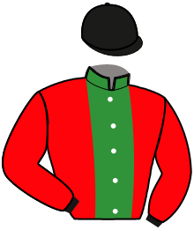 casaque portée par Verva Pie. Y. jockey du cheval de course KITA DU RIB, information pmu ZETURF