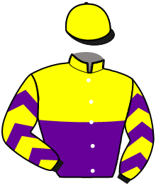 casaque portée par Roig-balaguer R. jockey du cheval de course KININE DE MONTCEAU, information pmu ZETURF