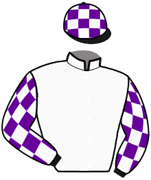 casaque portée par Chaineux Jea. M. jockey du cheval de course KYROC D'ERPION, information pmu ZETURF