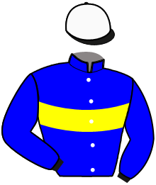 casaque portée par Arickx M. jockey du cheval de course KITALIANO ALGREF, information pmu ZETURF