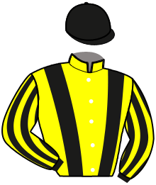 casaque portée par Piton B. jockey du cheval de course KALYPSO DE CHOC, information pmu ZETURF