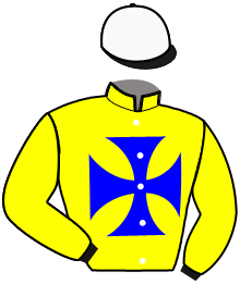 casaque portée par Lannoo Gee. jockey du cheval de course KLASSIC D'ERIQUE, information pmu ZETURF