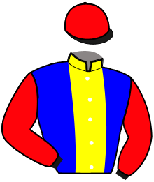 casaque portée par Huygens Mlle H. jockey du cheval de course KURT DE LA CEZE, information pmu ZETURF