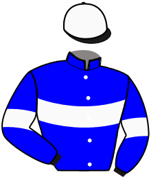 casaque portée par Brouwer D. jockey du cheval de course GEANT D'OCCAGNES, information pmu ZETURF