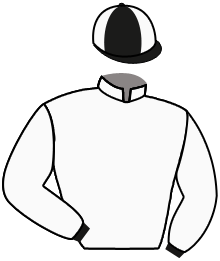 casaque portée par Forest M. jockey du cheval de course ARCTYC DE TESE, information pmu ZETURF