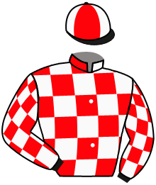casaque portée par Mendizabal I. jockey du cheval de course NERCI D, information pmu ZETURF